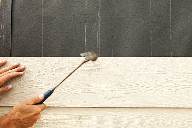 Best Insulated Siding Installation  in Strafford, MO